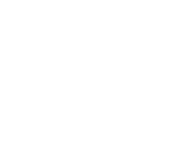 A stylized white bird perched on a branch, on a transparent background. The word "WELLNESS" is below in a sans-serif font within a rectangular frame. Below that, in a smaller font, is the phrase "HEALTHCARE CENTER".